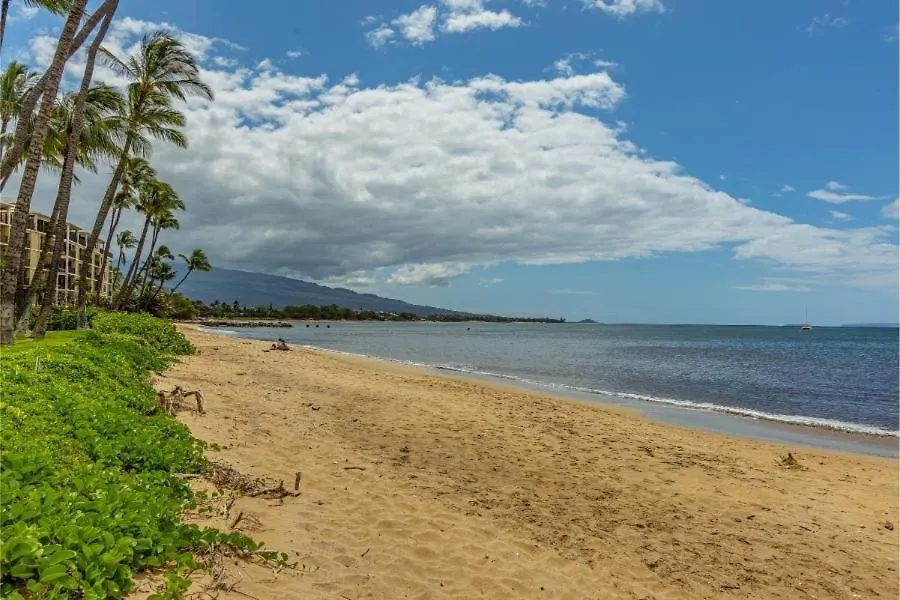 Apartment Maalaea Surf, #C-8 Condo Kihei