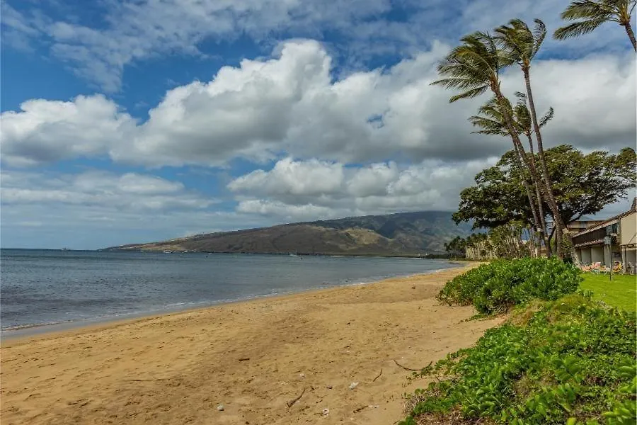 Maalaea Surf, #C-8 Condo Kihei Apartment