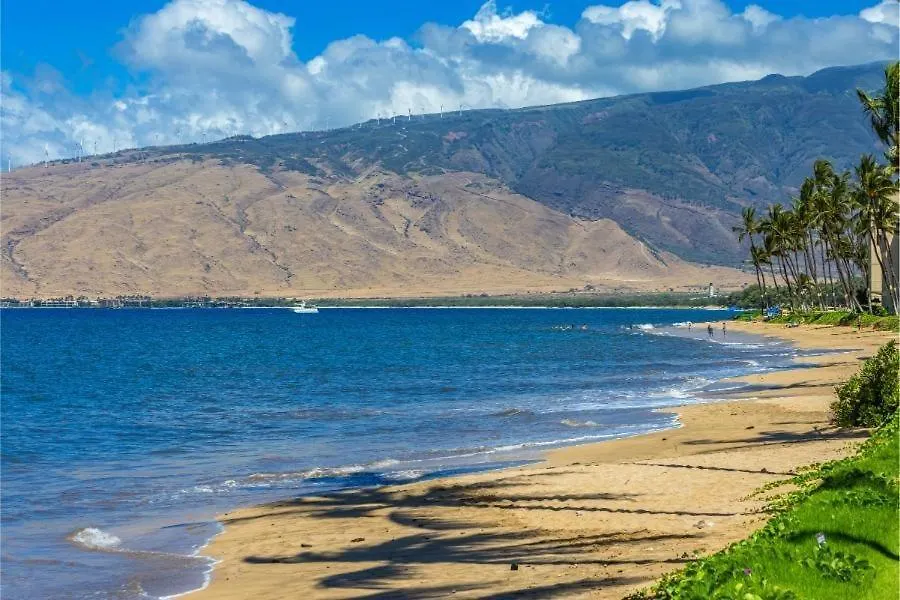 Maalaea Surf, #C-8 Condo Kihei